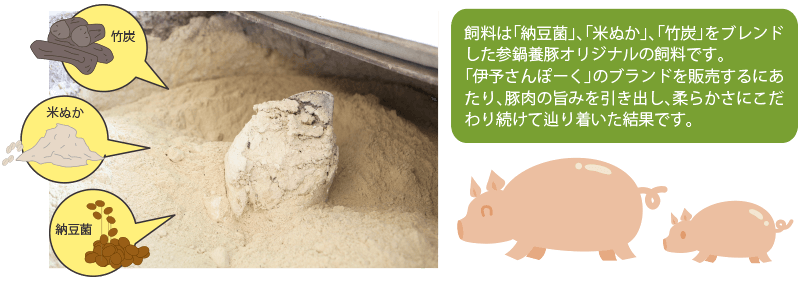 飼料は「納豆菌」「米ぬか」「竹炭」をブレンドした参鍋養豚オリジナルの飼料です。「伊予さんぽーく」のブランドを販売するにあたり、豚肉の旨みを引き出し、柔らかさにこだわり続けて辿り着いた結果です。